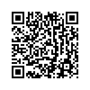 Website QR Code